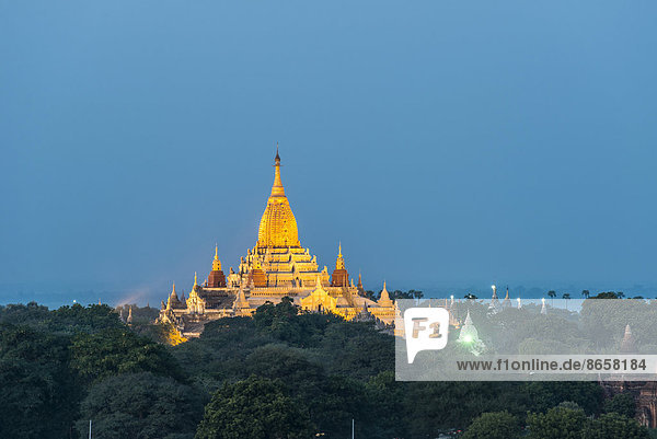Ananda-Tempel  vergoldeter Turmaufbau oder Shikhara  Stupa  Pagode  Tempelanlage  blaue Stunde  Ebene von Bagan  Mandalay-Division  Myanmar