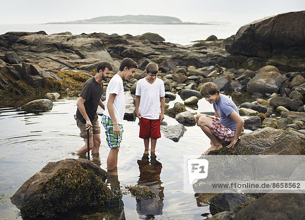 A small group of people standing in shallow water  rock pooling  finding marine life on the beach.