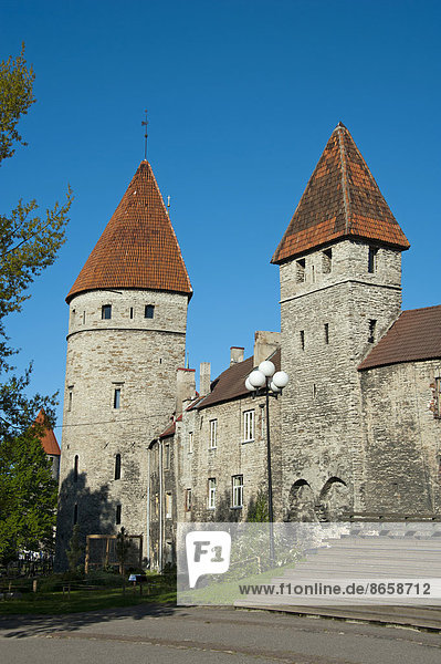 Tallinn  Hauptstadt  Stadtmauer  Estland