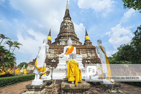 Buddha-Statuen vor dem Stupa im Wat Yai Chai Mongkhon  Ayutthaya  Thailand