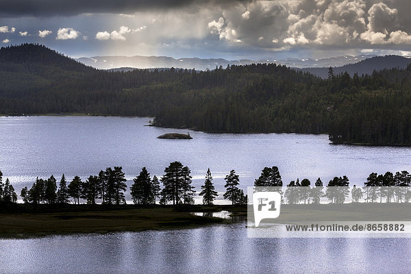 See Lognvikvatnet mit Regenwolken  Austbo  Rauland  Telemark  Norwegen