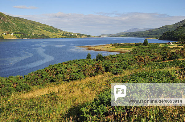 Loch Broom Richtung Ullapool  Caithness  Sutherland and Ross  Highlands  Schottland  Großbritannien