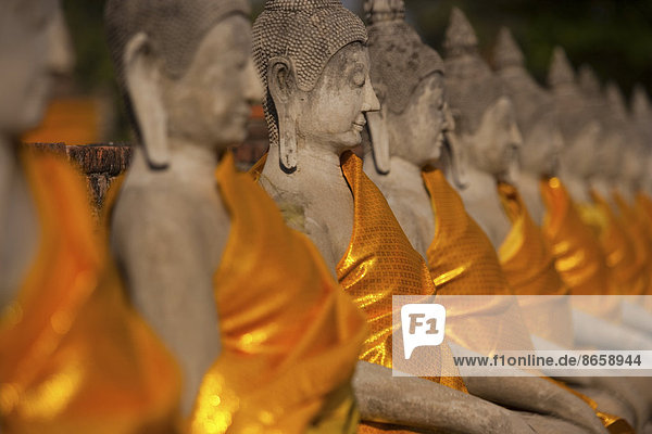 Wat Yai Chai Mongkon  ein historischer buddhistischer Tempel. Reihen von sitzenden Buddha-Statuen  die in safranfarbene Gewänder gehüllt sind.