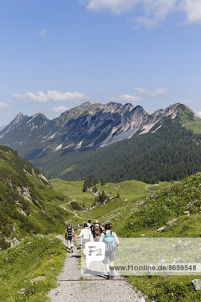 Hikers hiking above the Laguz Alps and Breithorn Mountain  Großes Walsertal Biosphere Reserve  Vorarlberg  Austria