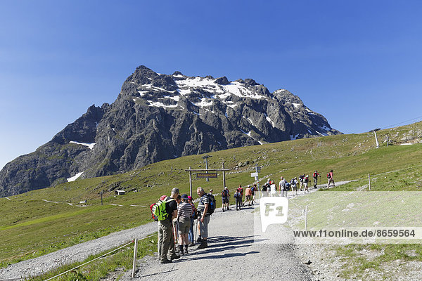 Wanderer am Schafberg  hinten der Berg Madrisa  Montafon  Rätikon  Vorarlberg  Österreich