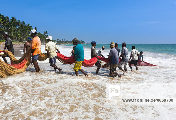 Fischer  Tagelöhner holen ein Netz am Strand ein  bei Kottegoda  Südprovinz  Sri Lanka