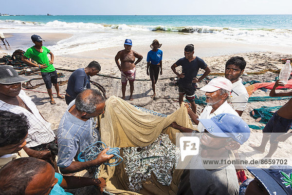 Fischer  Tagelöhner begutachten den mageren Fang in einem Netz am Strand  bei Kottegoda  Südprovinz  Sri Lanka