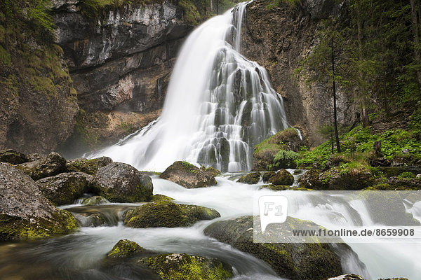 Bach mit moosbewachsenen Steinen  Gollinger Wasserfall  Salzburg  Österreich