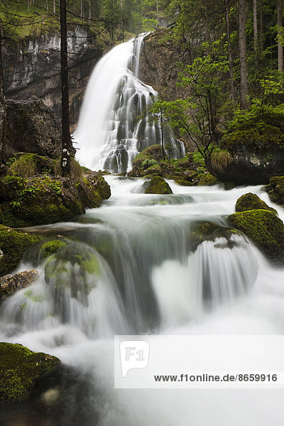 Bach mit moosbewachsenen Steinen  Gollinger Wasserfall  Salzburg  Österreich