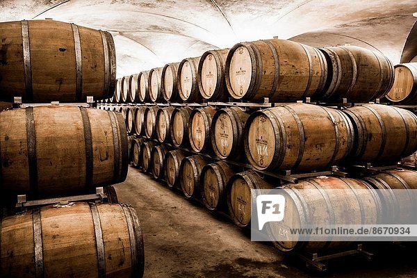 Winemaking in the largest wine region of Catalonia  the Penedes. Barcelona  Spain.