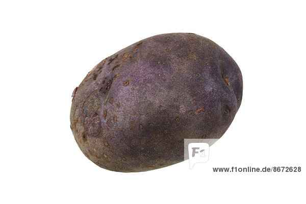 'Potato ''Herrmanns Blaue'' variety'