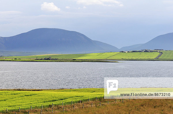 Typische Landschaft am Loch Stenness auf der Insel Mainland  Orkney  Schottland  Großbritannien
