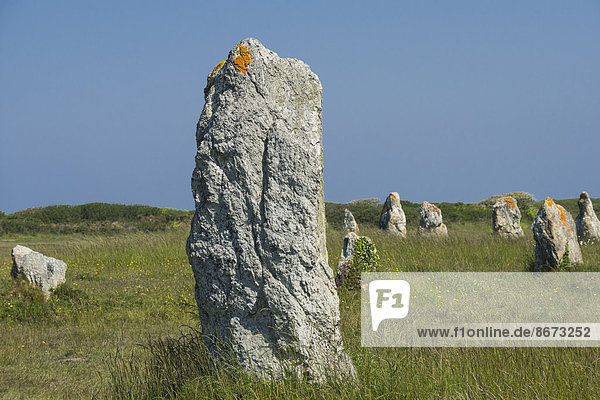 Alignement von Lagatjar  Steinreihen von Lagatjar  bei Camaret-sur-Mer  Département Finistère  Bretagne  Frankreich