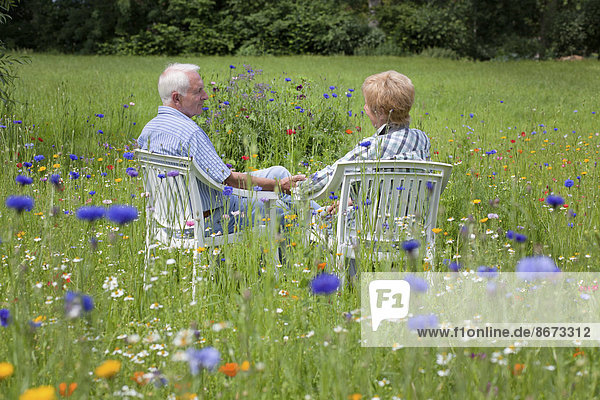 Seniorenpaar sitzt auf einer Wiese  Niedersachsen  Deutschland