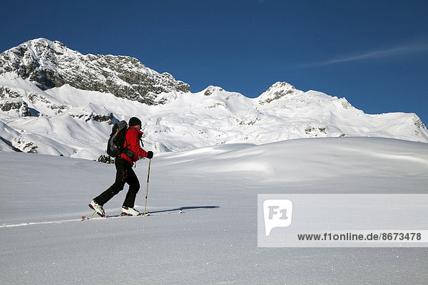 Ski tourer in the high valley above Lech am Arlberg  Mt Mohnenfluh at the back  Vorarlberg  Austria