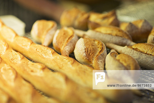 Nahaufnahme von frischem Brot in der Bäckerei
