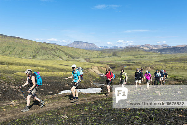 Trekking im Hochland  Wandergruppe geht hintereinander  grüne Berglandschaft  Trekkingweg Laugavegur  bei Álftavatn  Rangárþing ytra  Suðurland  Island  Skandinavien