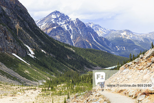 Canada  Alberta  Rocky Mountains  Canadian Rockies  Jasper National Park  Icefields Parkway  female hiker at Mount Edith Cavell and Angel glacier