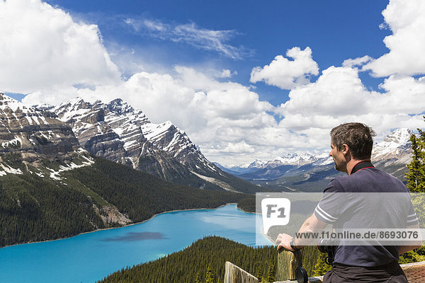 Kanada  Alberta  Banff Nationalpark  Tourist am Peyto Lake vom Bow Summit aus gesehen