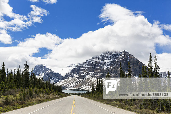 Kanada  Alberta  Banff National Park  Jasper National Park  Icefields Parkway  Crowfoot Mountain und Bow Lake