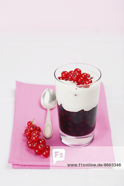 Dessert mit roten Johannisbeeren (Ribes rubrum) und Orangenschalenjoghurt  Studioaufnahme