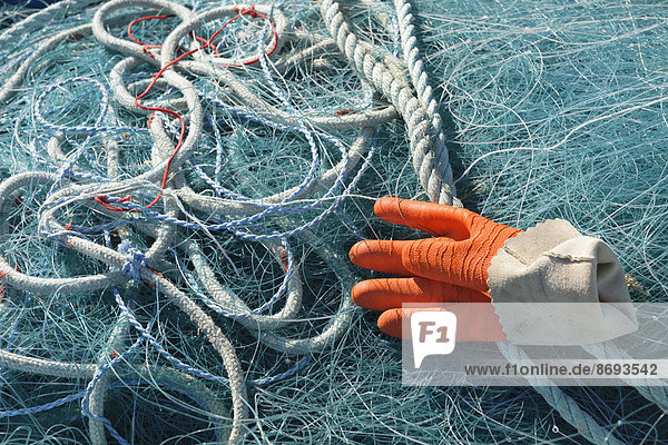 Frankreich  Bretagne  Finistere  Landeda  Fischernetz mit Arbeitshandschuh im Hafen