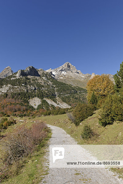 Spanien Nationalpark Ordesa y Monte Perdido Wanderweg in den Llanos de La Larri
