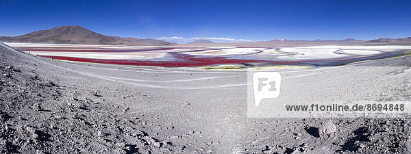 Südamerika,  Bolivien,  Atacama-Wüste,  Altiplano,  Laguna Colorada