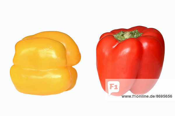 Gelbe und rote Paprika (Capsicum annuum) Paprikaschoten