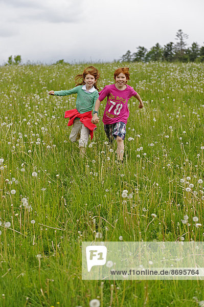 Two children running on a meadow with blowballs  Bavarian Forest National Park  Lower Bavaria  Bavaria  Germany