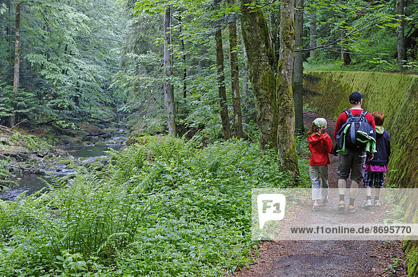 Hikers in the Wildbachklamm Buchberger Leite geotope  Wildbachklamm gorge  Bavarian Forest  Lower Bavaria  Bavaria  Germany