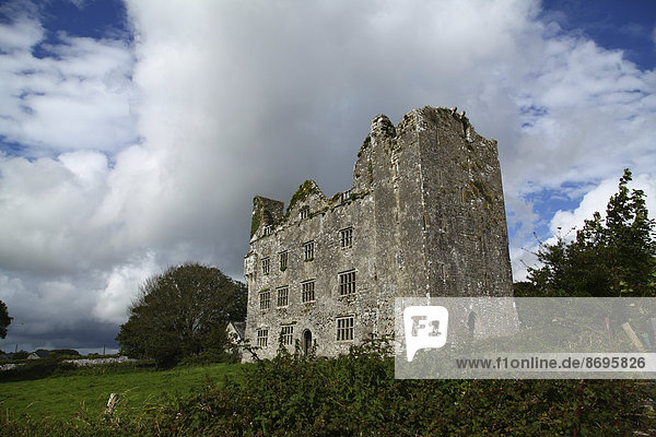 Ruine des Leamaneh Castle  Burren  County Clare  Ireland