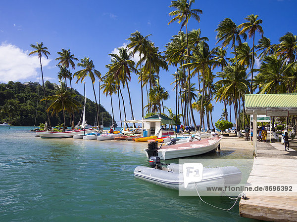 Palms on the sandy beach and boats in Marigot Bay  Castries region  St. Lucia island  Lesser Antilles  Windward Islands  St. Lucia