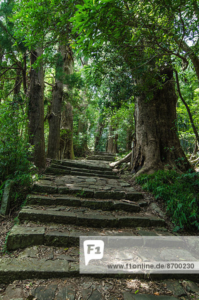 Yoshino Kumano National Park  Wakayama Prefecture