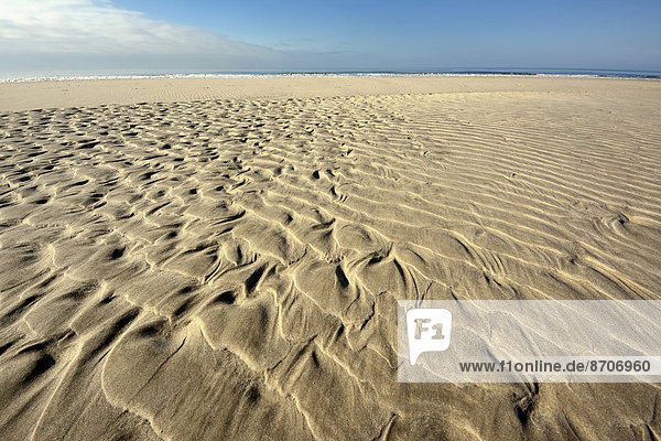 Sand ripple patterns on the beach  near Hvide Sande  Jutland  Denmark