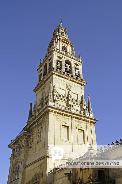 Kirchturm  Mezquita  Moschee  Kathedrale  Cordoba  Provinz Cordoba  Andalusien  Spanien