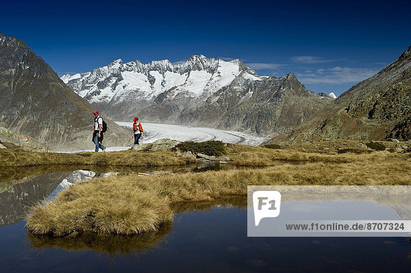 Mountain lake and hikers on Bettmerhorn Mountain  in front of the peaks of the Bernese Oberland and the Aletsch Glacier  UNESCO World Natural Heritage Site  Bettmeralp  Canton of Valais  Switzerland
