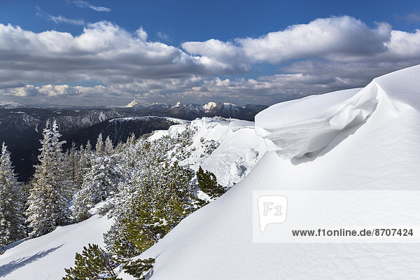 Tief verschneiter Winterwald mit Schneewechte am Wildkamm  Niederalpl  Mürzsteger Alpen  Steiermark  Österreich