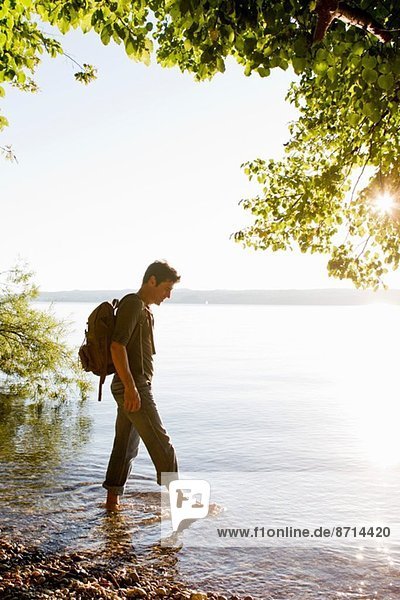 Erwachsener Mann beim Paddeln im Starnberger See  Bayern  Deutschland