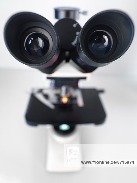 Blick in das Okular eines aufrechten Verbundmikroskops