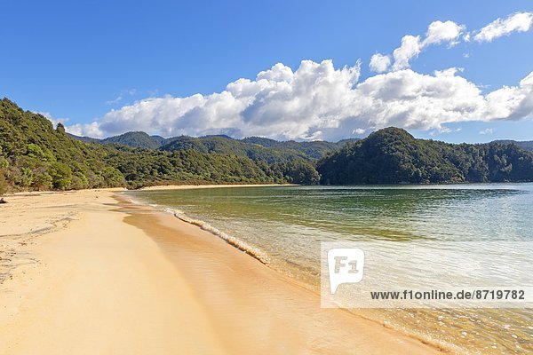 Anchorage Bay  Abel Tasman National Park  Nelson  South Island  New Zealand  Pacific