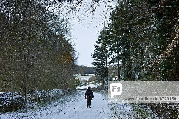 Landstraße , Großbritannien , Landschaft , Kälte , Winter , Cotswolds , wandern , Oxfordshire