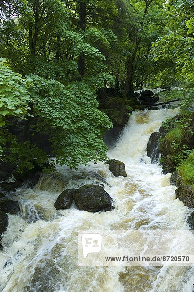 Großbritannien  See  Wasserfall  Fischer  Cumbria  Ortsteil
