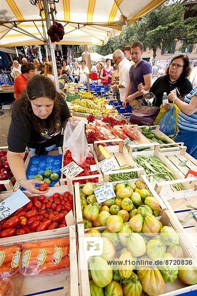 Frau  Frische  Frucht  Straße  verkaufen  Woche  Chianti  Italien  Markt  Toskana