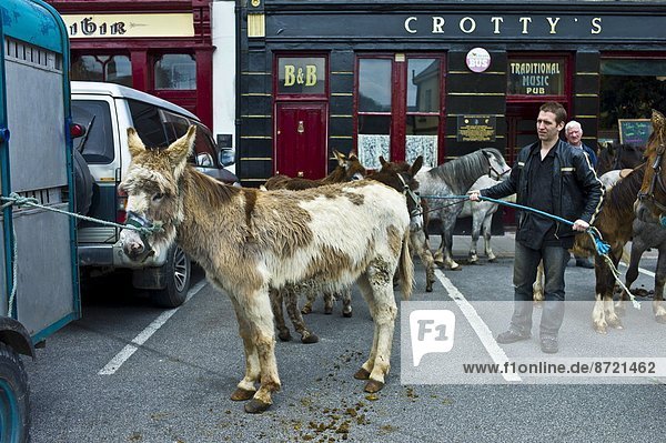 Esel Tradition Handel Quadrat Quadrate quadratisch quadratisches quadratischer Touristin Teamgeist Irland Markt