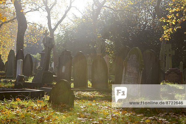 Grave stones on a sunny autumn day at the City of London Cemetery  London  England  United Kingdom  Europe
