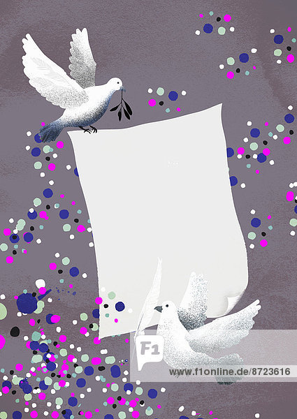Weißes Blatt Papier mit Tauben und Schreibfeder