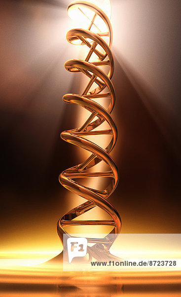 Goldene DNA-Doppelhelix im Scheinwerferlicht