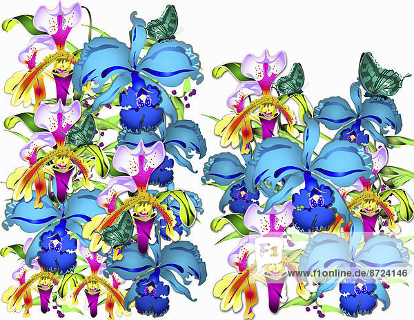 Leuchtend bunte Orchideen