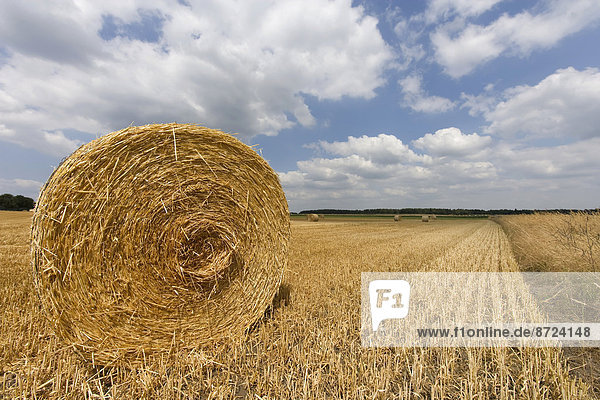 Straw bales in a stubble field in front of a cloudy sky  Sachsenhagen  Lower Saxony  Germany